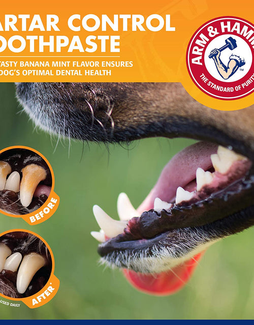 Load image into Gallery viewer, for Pets Tartar Control Kit for Dogs-Contains Toothpaste, Dog Toothbrush &amp; Fingerbrush - Dog Teeth Cleaning Kit, Dog Toothpaste Kit from Arm and Hammer, Dog Dental Care, Pet Toothbrush
